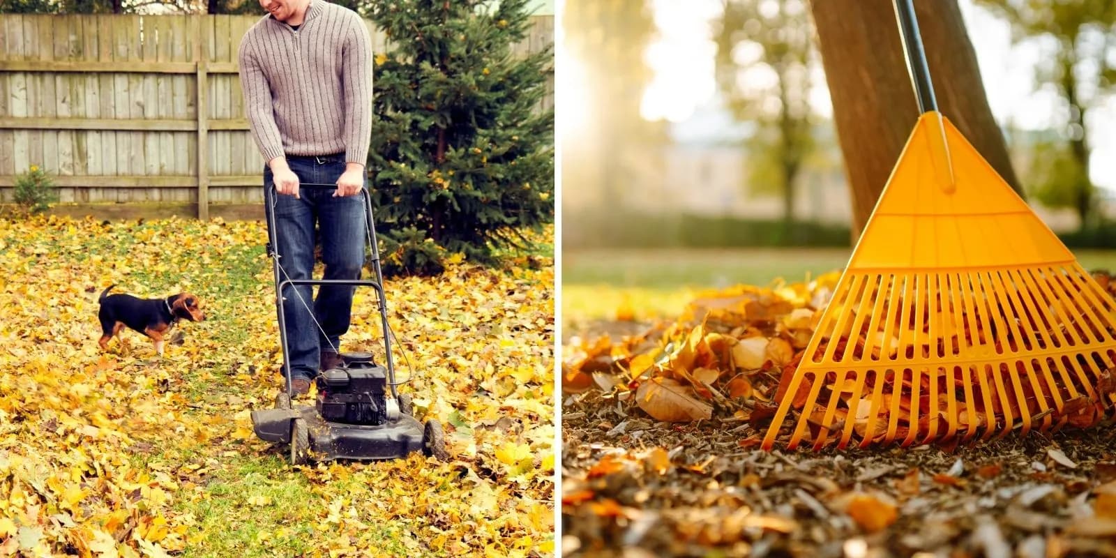Leaf Removal vs. Mulching: What's Best for Houston Lawns?