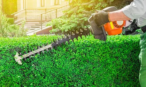 Bush & Hedge Trimming