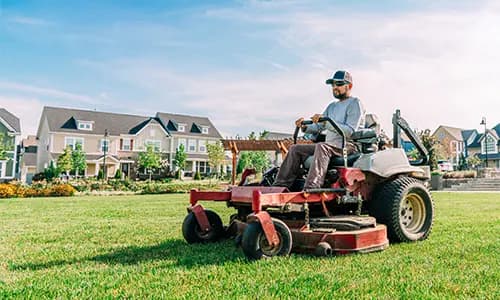 Mowing
