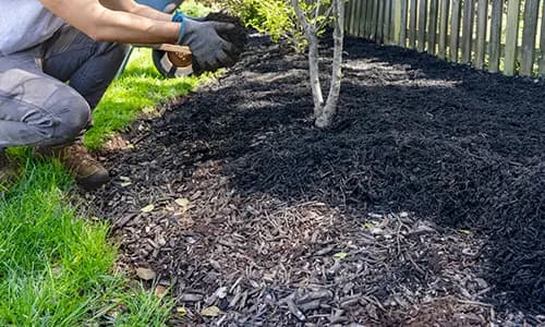Mulch Installation