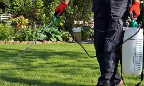 Weed Control