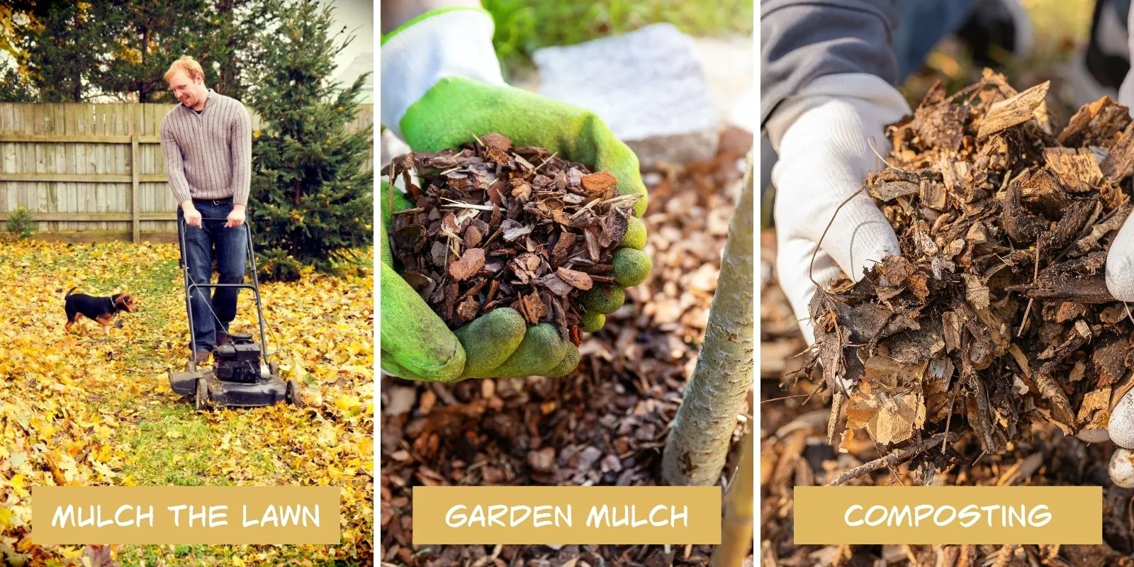 Three ways to reuse fallen leaves: mowing leaves into the lawn, using shredded leaves as garden mulch, and composting